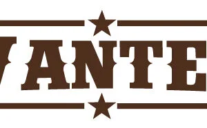 Wanted West Virginia10ml/30ml Flavorshot