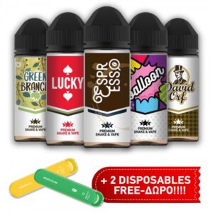 Shake N Vape - 5x30ml - PACK B'