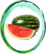Watermelon-Innovation-Ygra-Anapleroses-Watermelon-Innovation-Ygra-Anapleroses