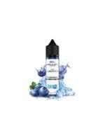 steam-city-flavour-shot-blueberry-ice-60ml
