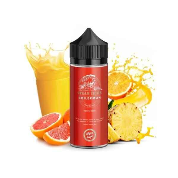 steam train boilerman 24ml120ml 1