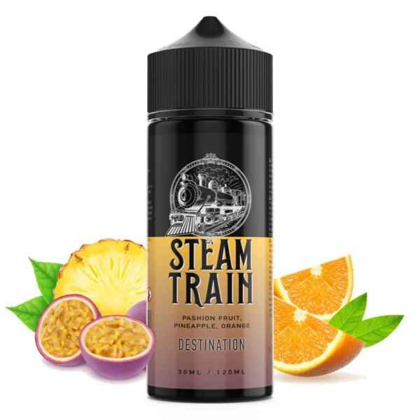 steam train destination 30ml120ml 1