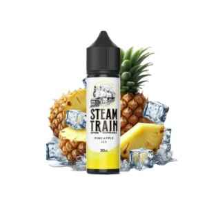 Steam Train Disposable Edition Pineapple Ice 20/60ml