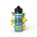 steam-train-old-stations-tropical-cooler-24ml120ml