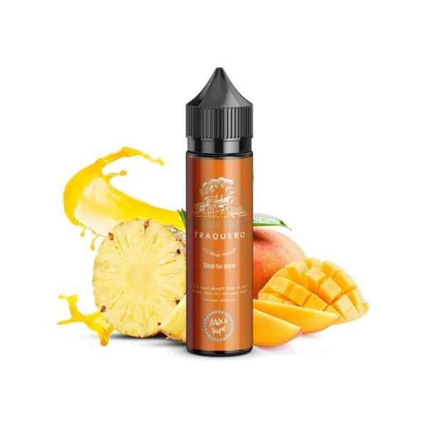 steam train traquero 20ml60ml 1