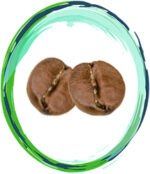 Coffe-Innovation_1-Innovation-coffe