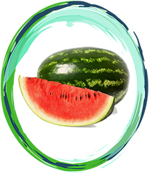Innovation Watermelon 06mg 10ml Υγρό Αναπλήρωσης 1 Watermelon Innovation Υγρα Αναπληρωσης