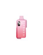 Elfbar EB10000 Refillable Device Watermelon Ice 2ml 20mg